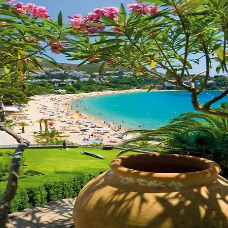 Lush With View Roses